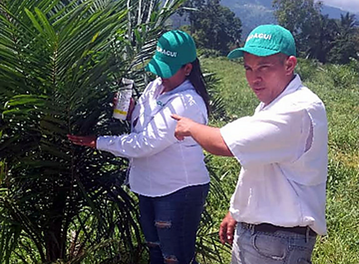 Evaluación de la unidad de producción