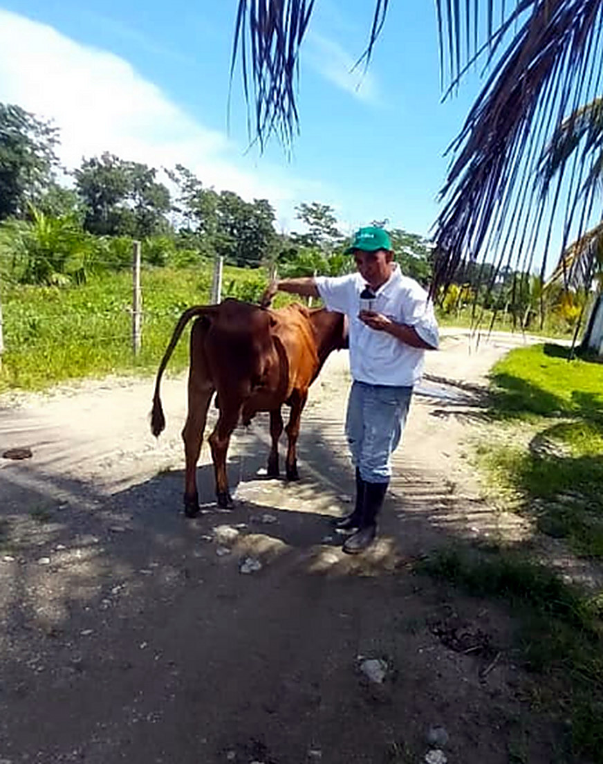 Visita periódica a la unidad de producción